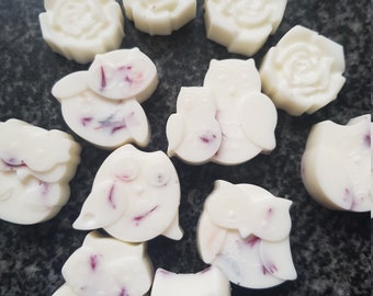 SPA DAY luxurious soy wax melts and chunky snap bar