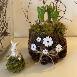 Floral arrangement: Spring greetings