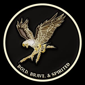 Custom Coin with Bold Eagle Design, Zinc Alloy Metal Token