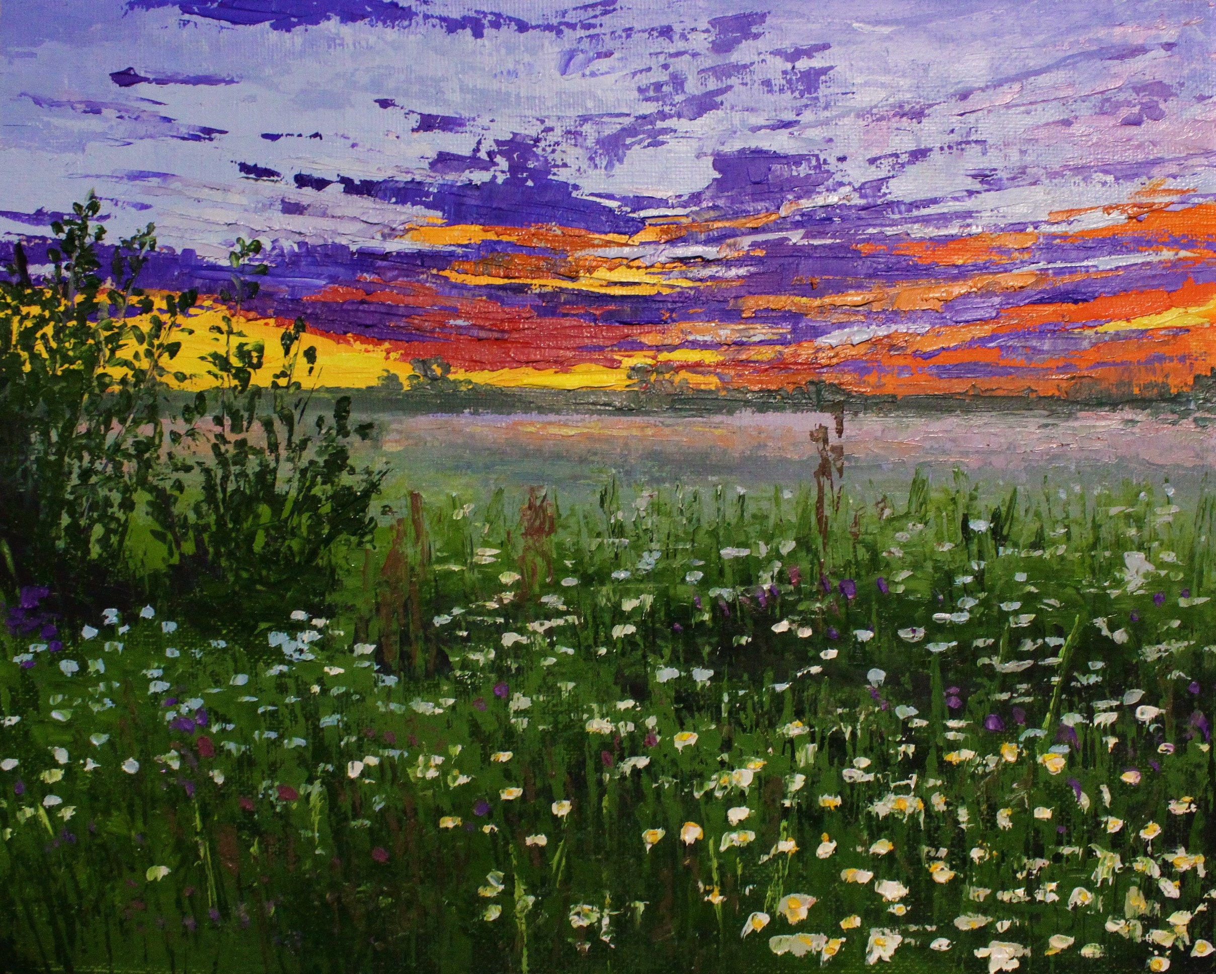 Wall Hangings Camomile And Poppies Bouquet Original Oil Painting