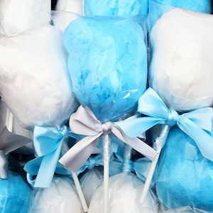 18 Cotton Candy Pop Party Birthday Wedding Favors