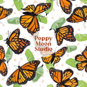 Monarch Butterflies Chrysalis Seamless Repeat Pattern Hand Drawn