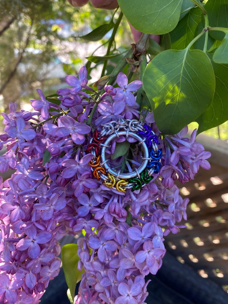 May include: A silver metal ring with a rainbow of coloured metal rings around the bottom half. The ring is set against a backdrop of purple lilac flowers and green leaves.