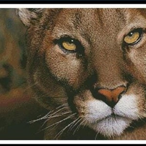 Mountain Lion Portrait Counted Cross Stitch Pattern