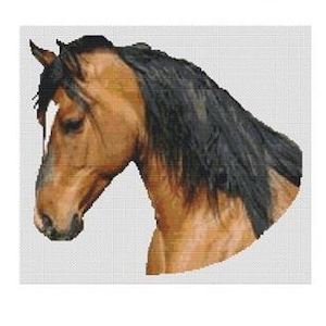 May include: A cross-stitch pattern chart featuring a horse's head with a brown coat and black mane. The chart is titled "Buckskin #000-315" and designed by Jamie Larson. The chart will be 181 x 160 stitches.