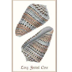 Shell Long Spotted Cone Counted Cross Stitch Pattern by PinoyStitch