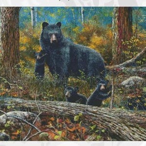 Age of Wonder Counted Cross Stitch Pattern