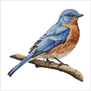 Eastern Bluebird Counted Cross Stitch Pattern - Etsy