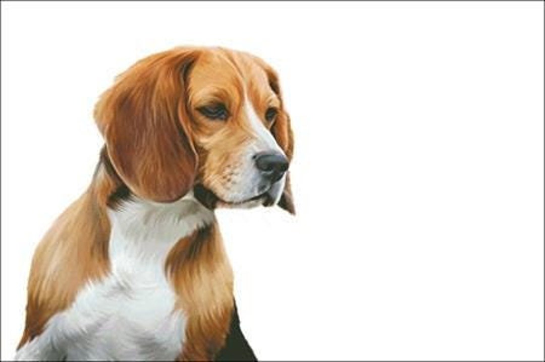 Beagle Counted Cross Stitch Pattern - Etsy