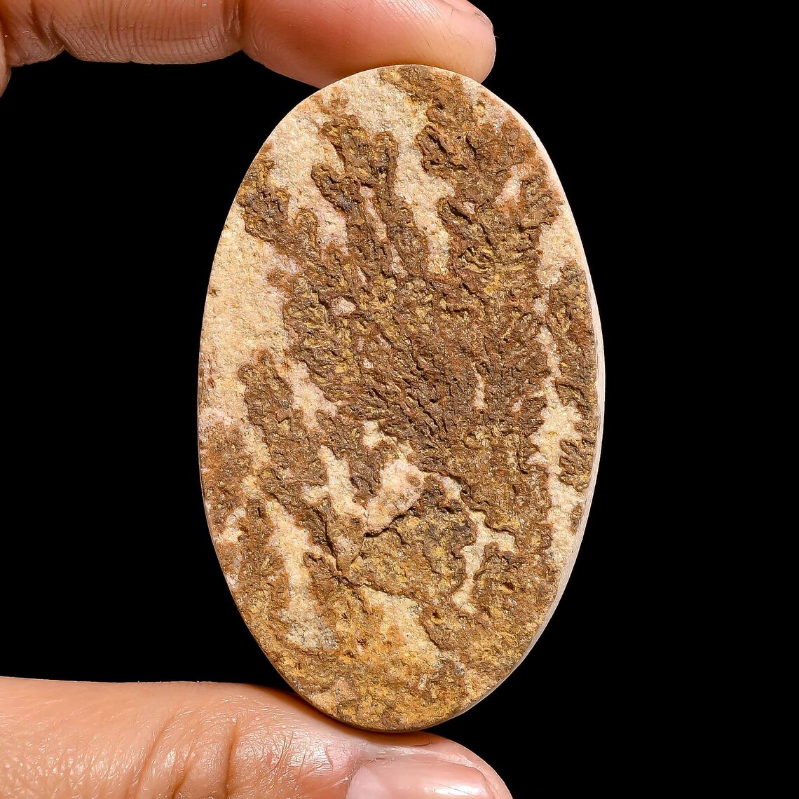 psilomelane dendrite psilomelane dendrite