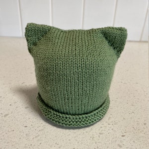 May include: A green knitted hat with cat ears. The hat is made with a simple stitch pattern and has a folded brim.