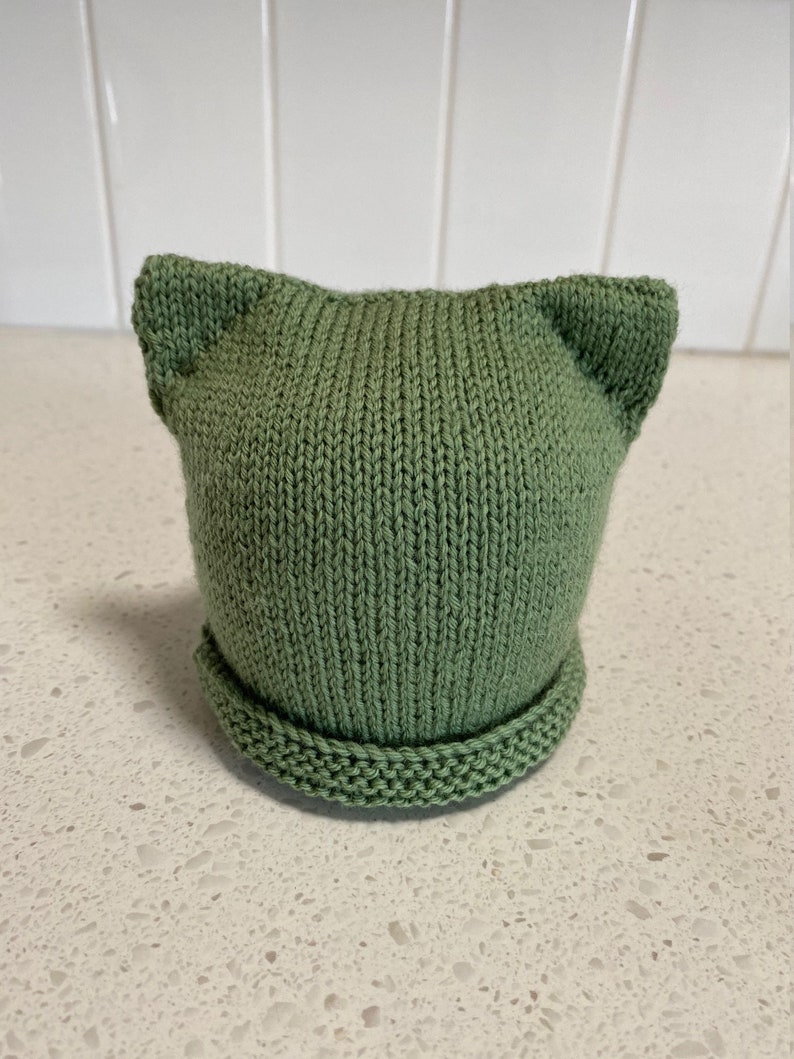 May include: A green knitted hat with cat ears. The hat is made with a simple stitch pattern and has a folded brim.