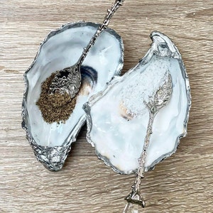 Oyster Shell Salz und Pfeffer Keller, Schmuckhalter, Olivenschale, Eheringhalter,
