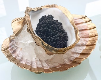 Caviar Serving Dish Footed 2 piece Scallop Shell and Oyster Set