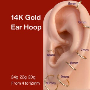 Könnte beinhalten: Darstellung von 14K Gold-Ohrringen in verschiedenen Größen, von 4 mm bis 10 mm, gezeigt an einem Ohrmodell. Das Bild enthält auch Text, der die Drahtstärken angibt: 24g, 22g und 20g. Der Text "14K Gold Ear Hoop" ist ebenfalls vorhanden.