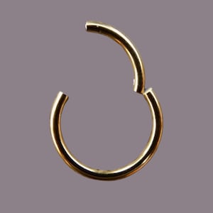 Gold Nose Ring | Clicker Hoop | Clicker Ring | Gold, Rose Gold, Titanium | 5 to 12mm | 20g to 14g  | Cartilage Earring | Gift