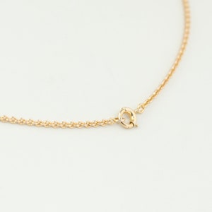 May include: A gold chain necklace with a lobster clasp closure.