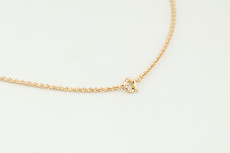 May include: A gold chain necklace with a lobster clasp closure.