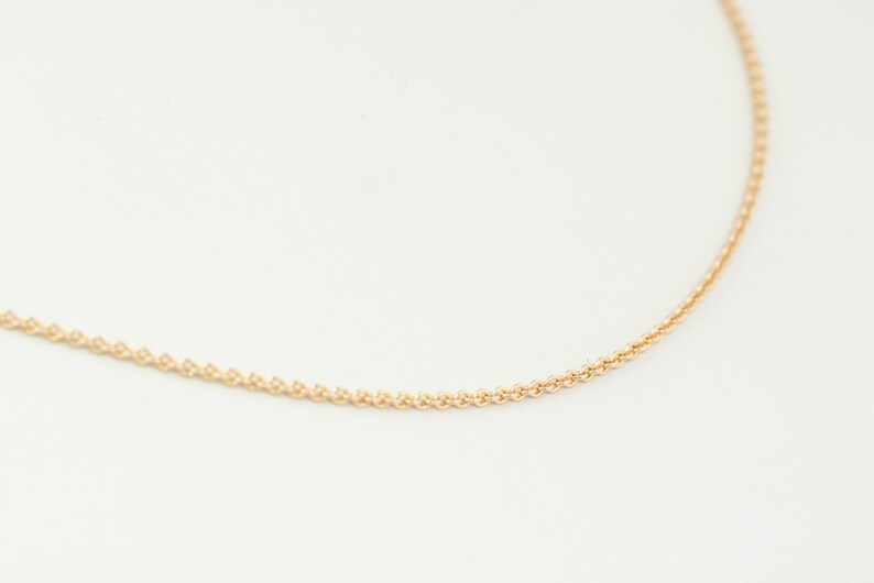 May include: A delicate gold chain necklace, perfect for layering or wearing alone.