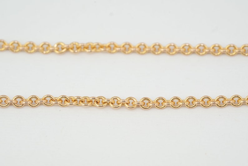 May include: A gold chain necklace with a delicate, linked design.