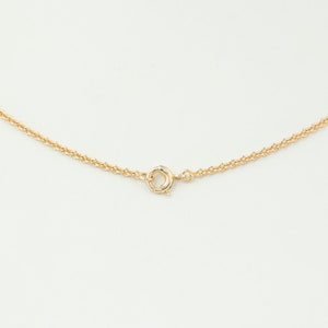 May include: A gold chain necklace with a lobster clasp closure.