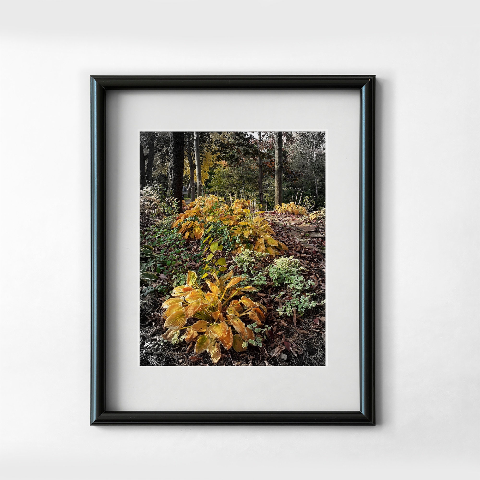 Nature Photography Wall Art Ready to Download 5x7 Etsy