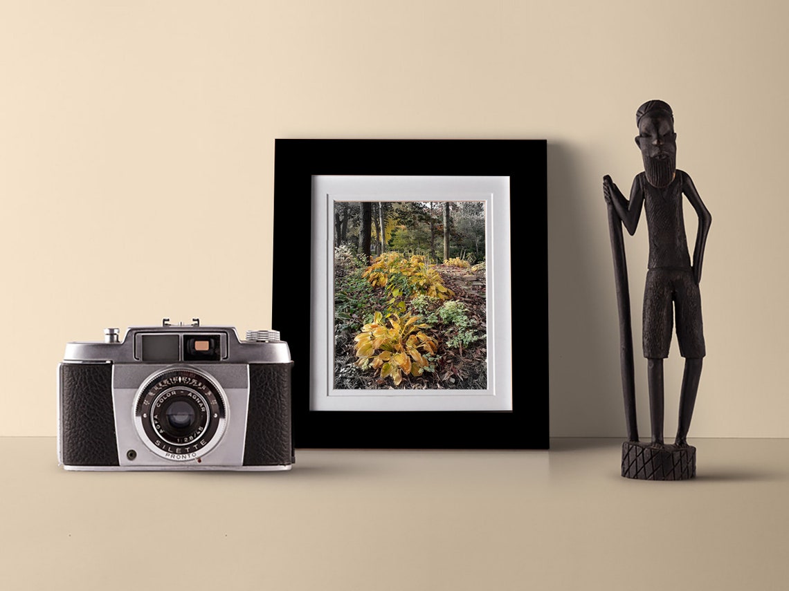 Nature Photography Wall Art Ready to Download 5x7 Etsy