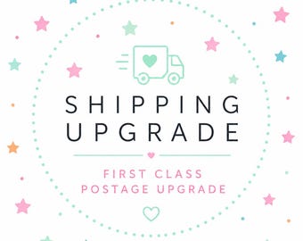 Shipping fee or upgrade. Faster Delivery Option