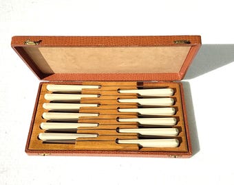 Juego de cuchillos para carne Thiers Issard vintage, 12 piezas, acero inoxidable, estuche para vajilla de mediados de siglo.