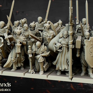 Warriors of the lady,  highlands miniatures,  proxies, , 9th age, aquitaine