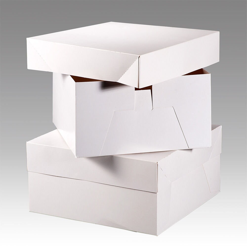 5 Weiße Kuchenboxen Mit Deckel – 20,3x20,3x15,2 Cm, Flach Verpackt Zum Selbstaufbau