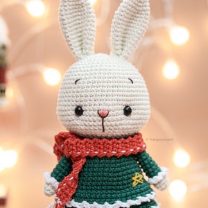 Tranguyenami PDF-BESTAND Gehaakt konijnenmeisje versie met twee lagen Amigurumi haakpatroon Gehaakt speelgoed Engels/Español/Portugees afbeelding 3