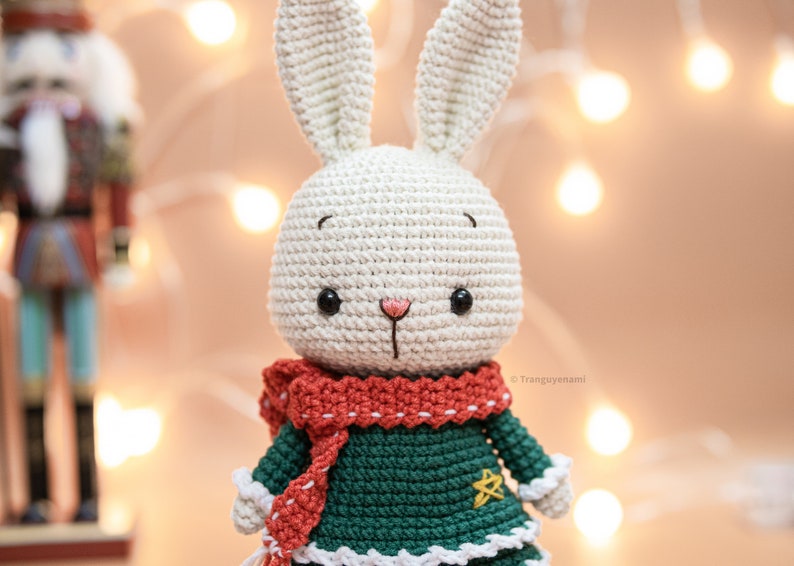 Tranguyenami PDF-BESTAND Gehaakt konijnenmeisje versie met twee lagen Amigurumi haakpatroon Gehaakt speelgoed Engels/Español/Portugees afbeelding 3