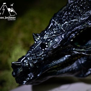 Design 1/3 Dracorex Schädel mit Beton Stand | Art Edition mit Zertifikat | Dinosaurier Lifestyle Deko by Jurassic Journey