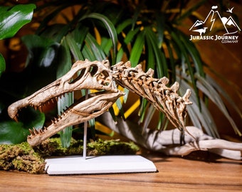 1/9 Crâne de spinosaure avec vertèbre cervicale et support en béton, fossile de dinosaure, dans de nombreuses variantes, impression 3D de qualité, par Jurassic Journey
