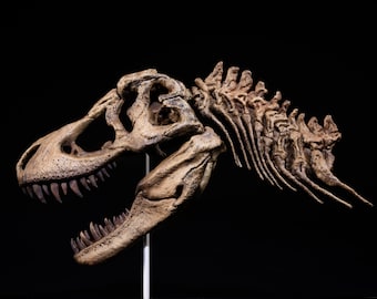 現在、この商品の在庫はありません - Etsy