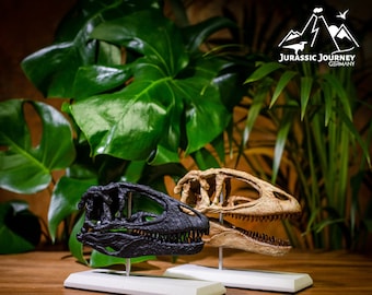 Carcharodontosaurus Skull with Concrete Stand | Jurassic Collector&#39;s Gift for Dino Fans | 3D Printed Dinosaur Fossil Model in 1/9 Scale