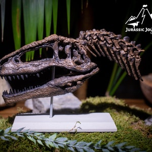 Giganotosaurus skull with cervical vertebrae | Jurassic collector&#39;s gift for dino fans | 3D printed dinosaur fossil model in 1/9 scale