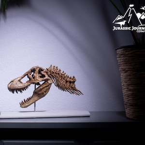Tyrannosaurus Rex skull with cervical vertebrae | Jurassic collector&#39;s gift for dino fans | 3D printed dinosaur fossil model in 1/9 scale