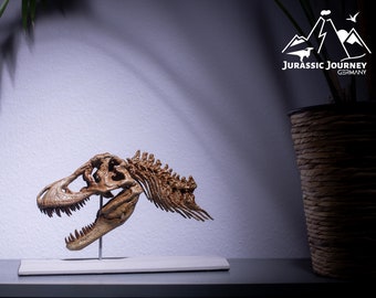 Tyrannosaurus Rex skull with cervical vertebrae | Jurassic collector&#39;s gift for dino fans | 3D printed dinosaur fossil model in 1/9 scale