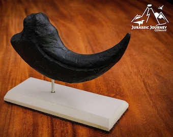 Gift for collectors and fans | Baryonyx claw with concrete stand | Jurassic dinosaur decoration | 28 cm arch length cast | Lifesize scale 1/1
