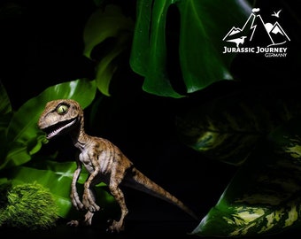 Maquette Bébé Velociraptor, Site A, modèle de collection 1/1 grandeur nature avec socle, édition FX par Jurassic Journey