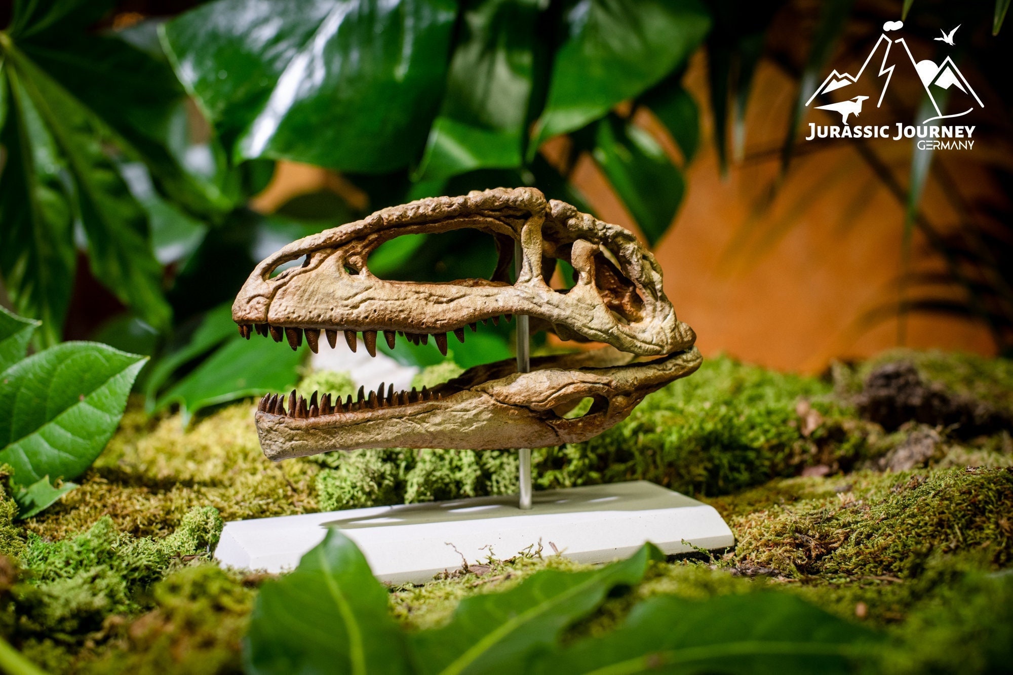 Giganotosaurus Skull I Large Jurassic Collector's Gift for Dino Fans I 3D Printed Dinosaur Fossil Model | Scale 1/6