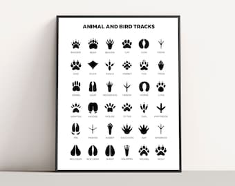 Animal and Bird Tracks Print - Animal Tracks Printable Poster Instant Download Animal Paw Prints Tracks Chart