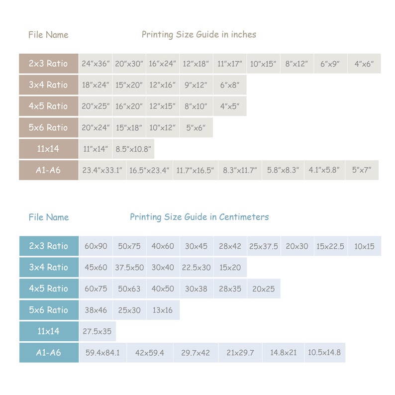 May include: A chart showing printing size guides in inches and centimeters for different file sizes, such as 2x3 ratio, 3x4 ratio, 4x5 ratio, 5x6 ratio, 11x14, and A1-A6.