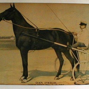 Dan Patch Hästtryck ~ Travsport Standardbred Pacer ~ M.W. Savage Minnesota