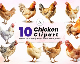 Chicken PNG | Chicken Clipart Watercolor | 10 High Quality transparent png for Commercial Use | Instant Digital Download