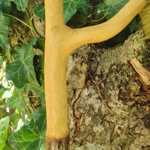May include: A handcrafted wooden walking stick with a Y-shaped handle. The handle and upper portion are a light tan color, while the lower section is a darker brown. The stick is set against a backdrop of tree bark and green foliage.