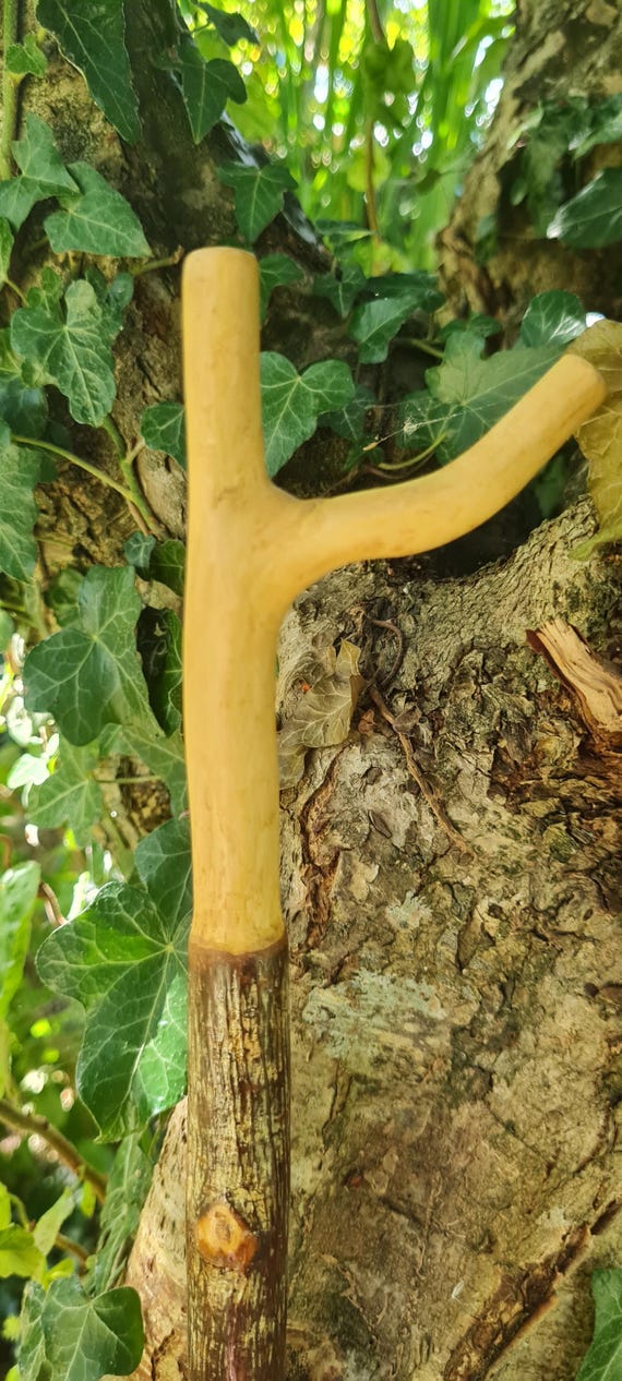 Canadian Red Oak Thumbstick