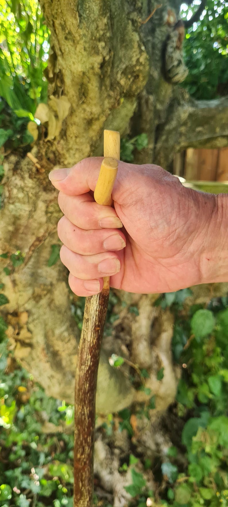May include: A wooden walking stick with a light brown handle and a dark brown shaft. The handle has two small, cylindrical pegs. The stick is held in a hand against a backdrop of green foliage.